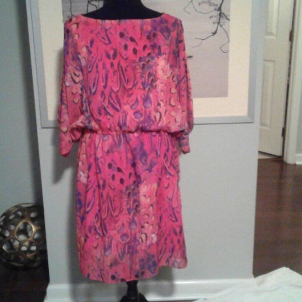 Plus Size Pink Dress